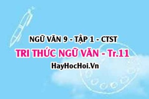 Soạn bài Tri thức Ngữ Văn trang 11, 12 tập 1 lớp 9 Chân trời sáng tạo